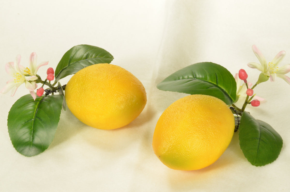 Lemon, with leaf lxhxb: 10x7x7 (imitation)