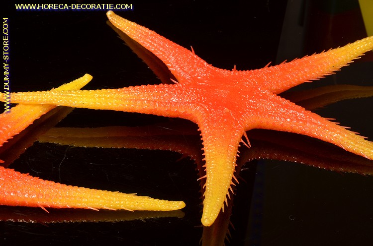 Starfish, 2 pieces - Ø 300 mm - fish dummy